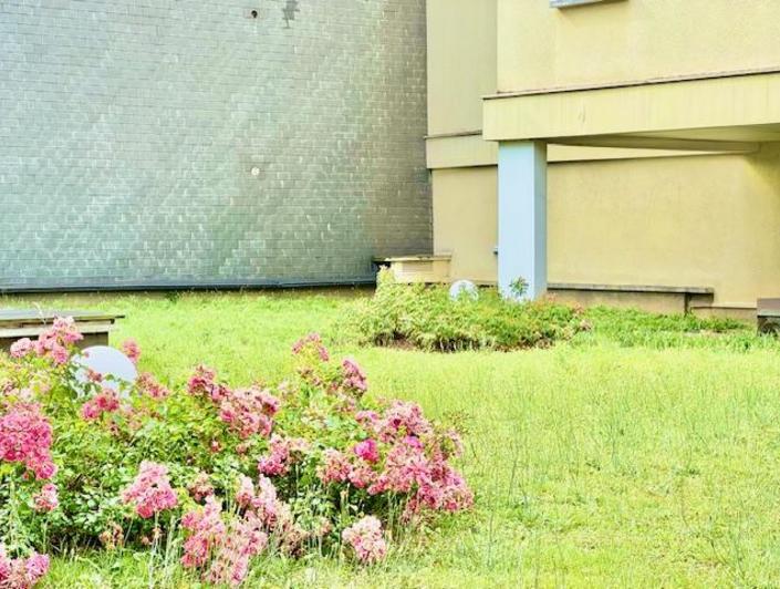 A vendre Rouen prox CHU et toutes commodités  Idéal placement locatif  Cet appartement  T2 de 27 m2 proposé meublé , au calme avec parking  donnant sur un jardin   Très fonctionnel proposant une pièce principale organisée en séjour coin repas et cuisine équipée  Une suite nuit organisée en chambre avec rangement, salle de douches avec wc.  Nombre de lots de copropriété   charges annuelles 480 €    Son prix de 90 000 € FAI honoraires agence inclus charge vendeur.