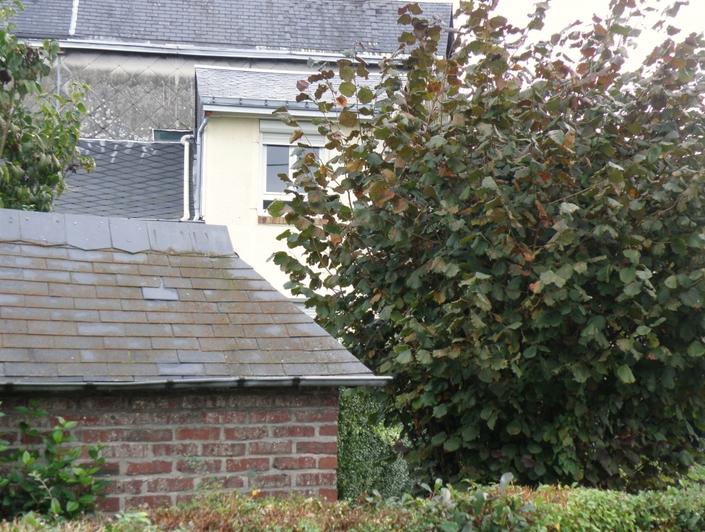 il y a a vendre à MONT SAINT AIGNAN une  Maison avec un garage . elle comprend une  entrée,  une  cuisine équipée et un séjour.  A l'étage il y a   deux  chambres et un  wc. les combles peuvent être aménagés  il est à acheter 154 000 €uros