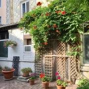 A  vendre  à ROUEN rive droite PROX VIEUX MARCHE ,cette maison ancienne  de charme de 185 m2 hab avec extèrieurs, parkings et  garage, offre :  Au rez de chaussée : une entrée, une grande salle de jeux,un  atelier, une chambre avec salle de douches .  au 1 étage : un grand séjour,une cuisine indépendante,une chambre avec salle de bains et son petit escalier permet d'accéder à la troisième chambre.  elle possède également une très Belle cave voutée du XVIII é .  Sa chaudière est récente au gaz et en  bon...