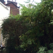 l'agence immobilière de ROUEN GARE propose à vendre une  MAISON ancienne  AVEC TERRASSE, une CUISINE EQUIPEE AVEC COIN REPAS, un   SEJOUR, un WC, une SALLE DE DOUCHES, deux  CHAMBRES, un BUREAU. son CHAUFFAGE  ET sa  PRODUCTION d'EAU chaude sont  AU GAZ. elle est PLEIN SUD  et AU CALME .