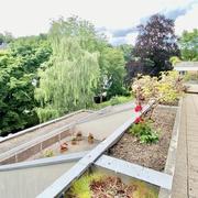 A vendre Mont Saint Aignan résidentiel  Exceptionnel dans résidence au calme avec ascenseur et vue dégagée, cet appartement de 170 m2 avec séjour de 50 m² ,deux terrasses de 40 et 26 m² 