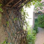 cette maison ancienne dans son écrin de verdure au calme et ensoleillée au coeur du quartier jouvenet sur plus de 200 m2 de terrain clos de murs.