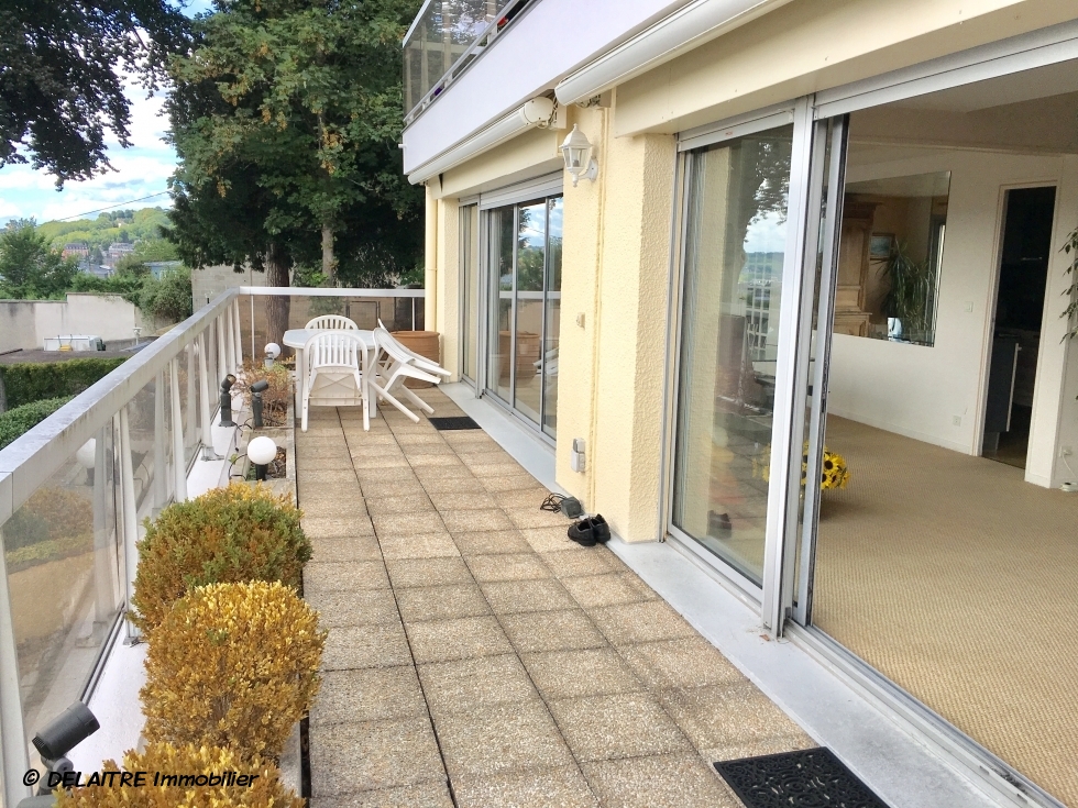 appartement terrasse avec vue plein sud