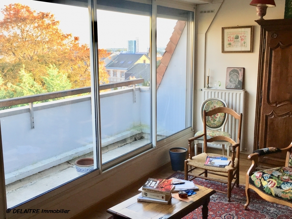 terrasse avec vue dégagée