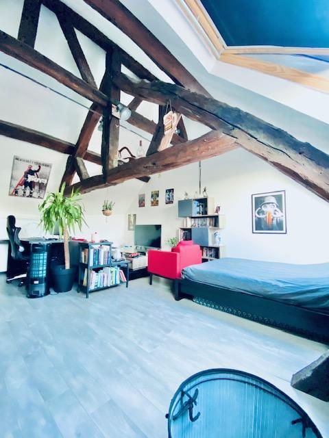 A vendre à acheter Rouen CHU SAINT HILAIRE , cet appartement triplex de charme pour 181 m2 avec terrasse patio à ciel ouvert.
