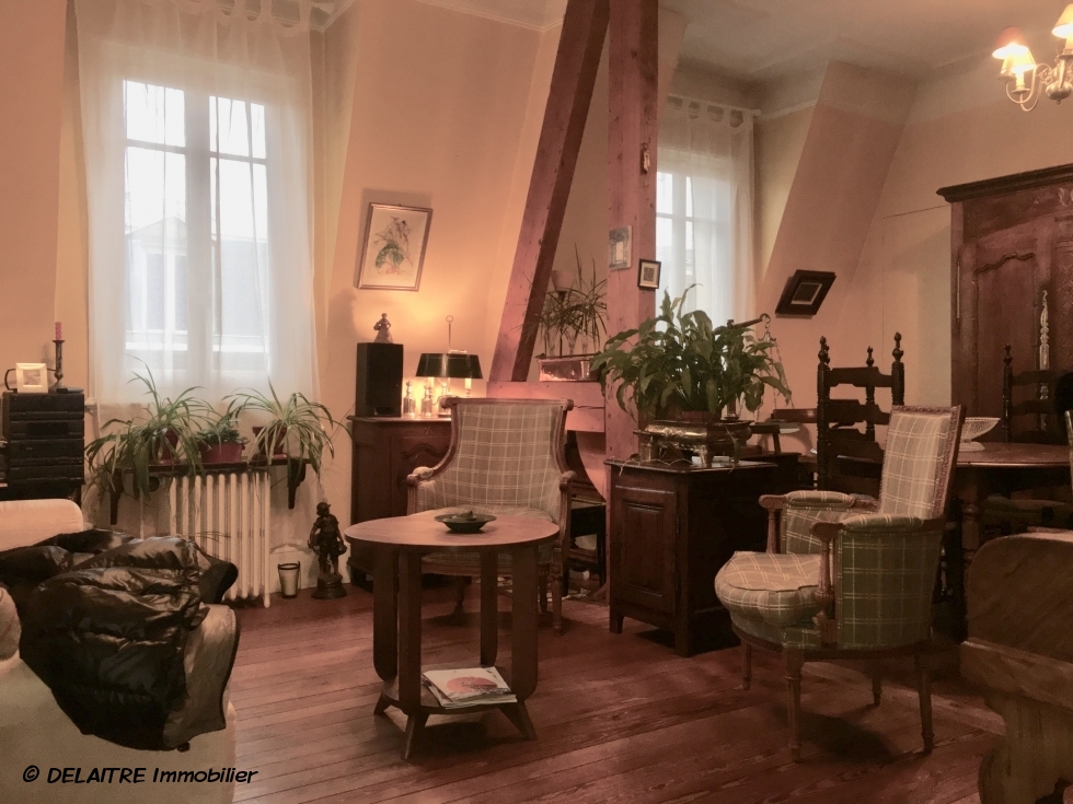 appartement ancien séjour av cheminée