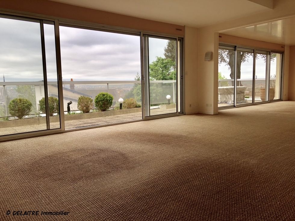 appartement terrasse avec vue plein sud