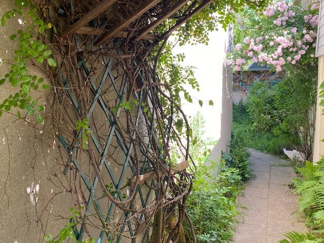 cette maison ancienne dans son écrin de verdure au calme et ensoleillée au coeur du quartier jouvenet sur plus de 200 m2 de terrain clos de murs.