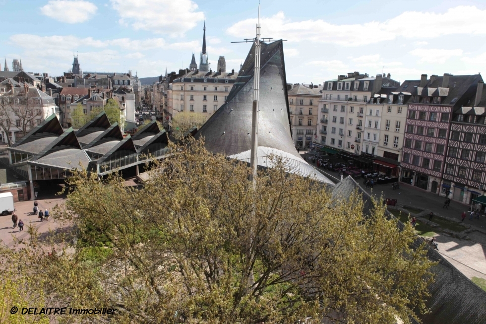 A vendre à Rouen centre vieux marché,  cet appartement ancien de 151 m2 habitable avec vue dégagée offre une  entrée, du dégagement,des rangements, un bureau,un grand séjour, une grande cuisine équipée, deux grandes chambres,une  salle de douches, un wc.